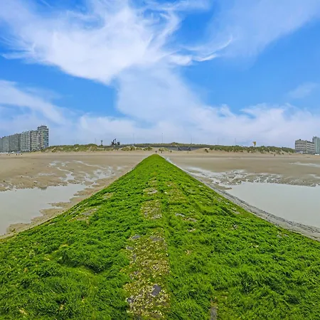 Well-maintained With Sea View